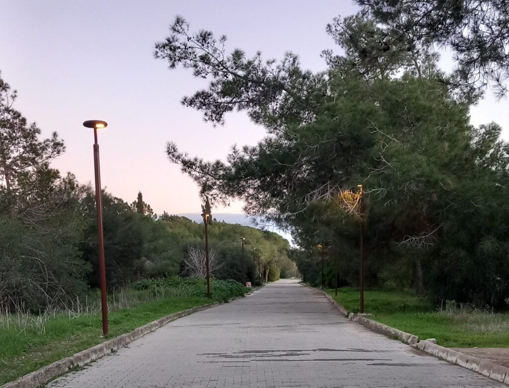 Να ξαναζωντανέψει το Παττίχειο Δάσος - Δεντροφύτευση στη Λάρνακα