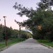 615450892_10163387085233956_7277259419370608021_n