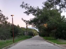 615450892_10163387085233956_7277259419370608021_n