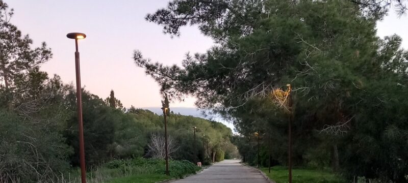 615450892_10163387085233956_7277259419370608021_n