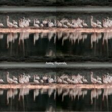 616175155_26152264387698640_6565750092763608966_n