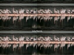 616175155_26152264387698640_6565750092763608966_n