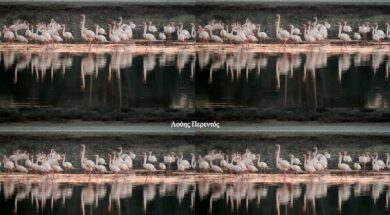 616175155_26152264387698640_6565750092763608966_n