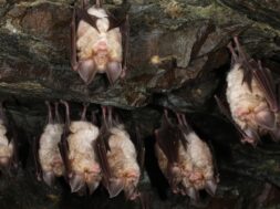 616512353_1210204294628597_14543631161817251_n-e1768806601604