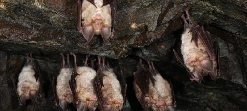 616512353_1210204294628597_14543631161817251_n-e1768806601604