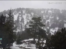 618072177_1402201594900338_3095802218059997160_n-thumb