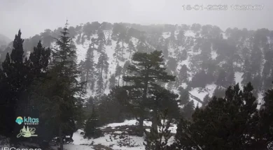 618072177_1402201594900338_3095802218059997160_n-thumb