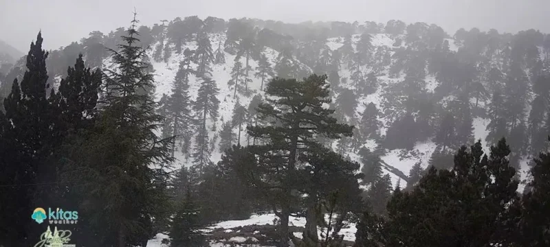 618072177_1402201594900338_3095802218059997160_n-thumb