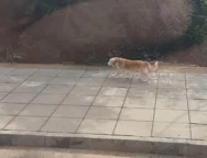 619151314_914241551158700_4416204156648634950_n