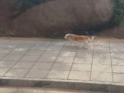 619151314_914241551158700_4416204156648634950_n