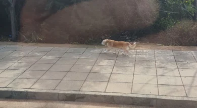 619151314_914241551158700_4416204156648634950_n