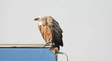 623418794_1414914190671387_7465241176316807877_n