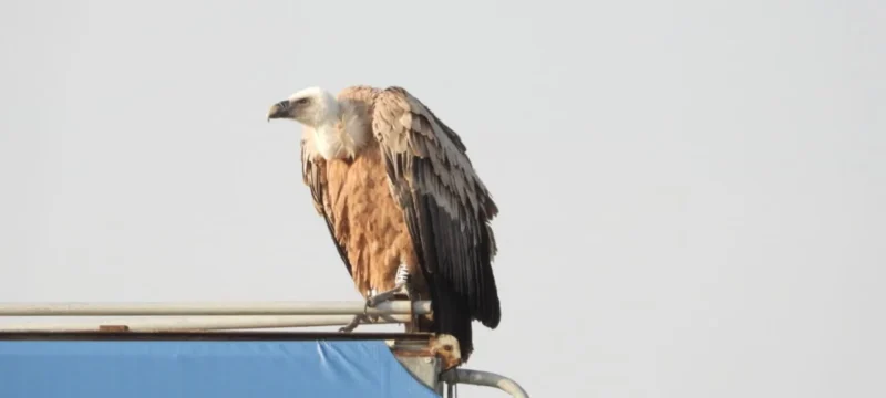 623418794_1414914190671387_7465241176316807877_n