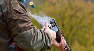 644152-large_thumbnail