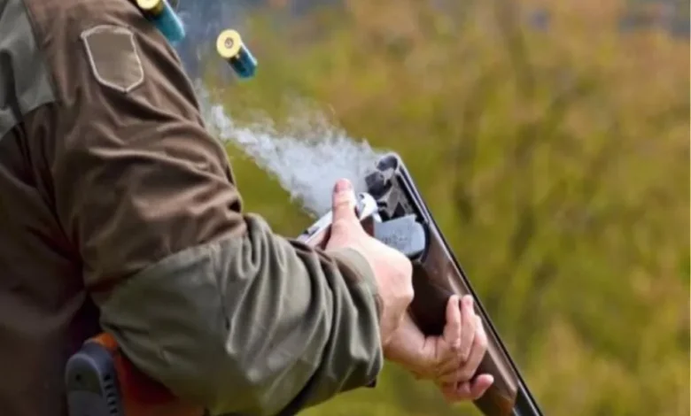 644152-large_thumbnail