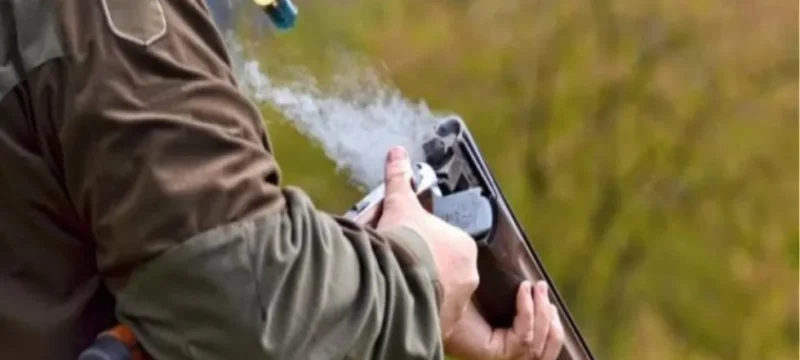 644152-large_thumbnail