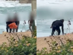 6786786787878678-thumb