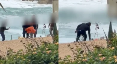 6786786787878678-thumb