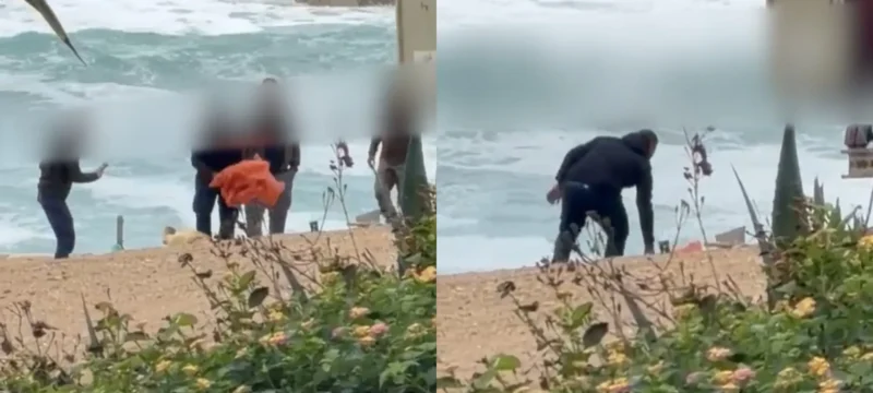 6786786787878678-thumb