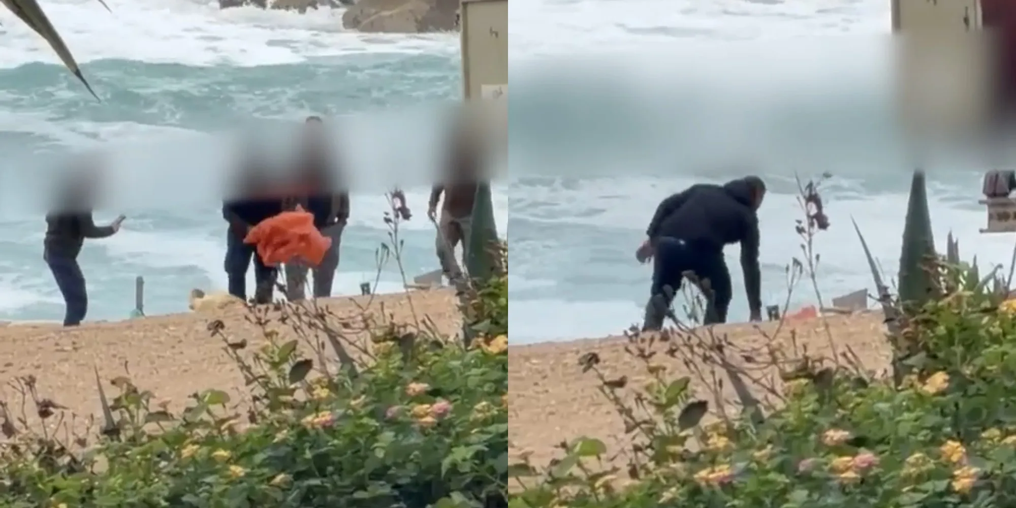 Καταγγελία ότι κακοποίησαν και σκότωσαν χελώνα στην Πάφο – Σύλληψη 4 προσώπων