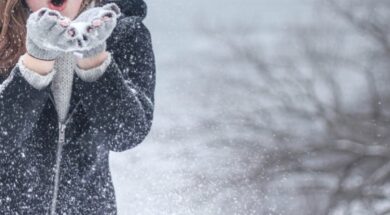 6b1e3350c682f1bcb47f1d00d09d76b2