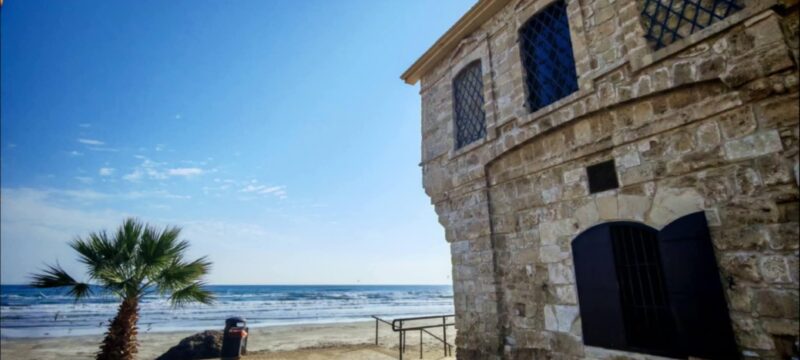 6df8eed3-be31-446b-bcae-5cb02036b490