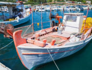 705ec9_aadd0cd6d6e04843a4d0b9c53c0626e0~mv2