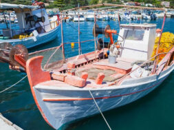 705ec9_aadd0cd6d6e04843a4d0b9c53c0626e0~mv2