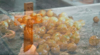 77e5eedd-09d5-4686-8bbe-5a3a6df2b880_new