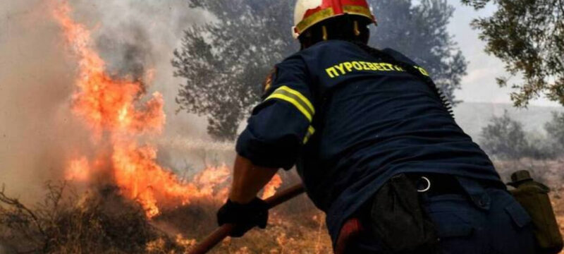 7d677fb48983f0aa234e21135268bcb3_XL