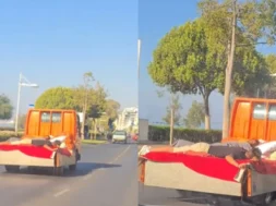 87989898989789-thumb