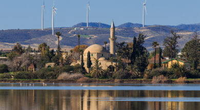 Larnaca_01-2017_img30_Salt_Lake