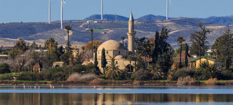 Larnaca_01-2017_img30_Salt_Lake