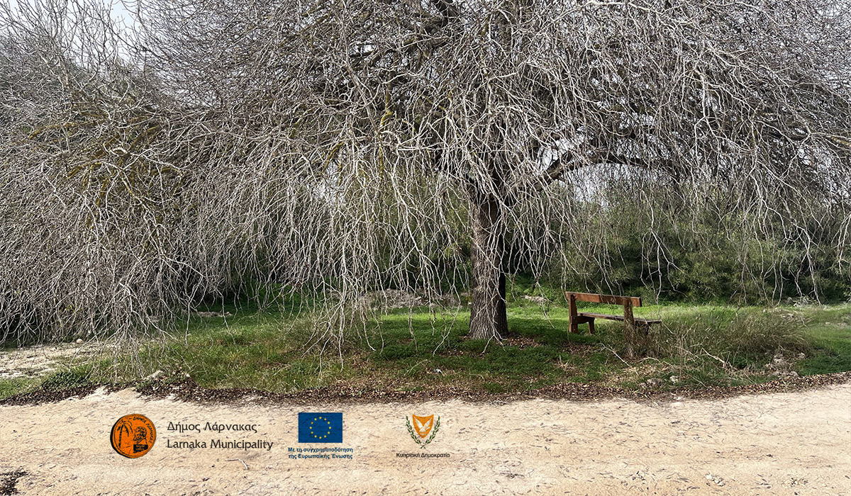 Τα αποτελέσματα του Αρχιτεκτονικού Διαγωνισμού “Δημιουργία Κέντρου Περιβαλλοντικής Ενημέρωσης στην περιοχή του Δικτύου NATURA 2000 στις Αλυκές Λάρνακας”  (Πίνακας)