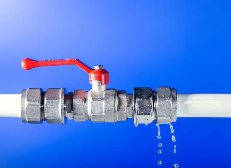 Untitled-design-2024-09-24T111929.784