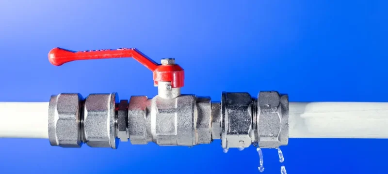 Untitled-design-2024-09-24T111929.784