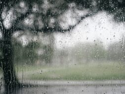 WhatsApp Image 2023-03-14 at 13.35.31 (2)_0