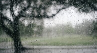 WhatsApp Image 2023-03-14 at 13.35.31 (2)_0