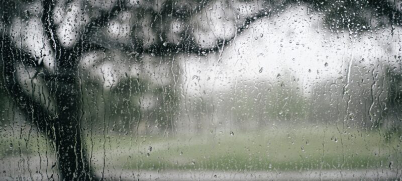 WhatsApp Image 2023-03-14 at 13.35.31 (2)_0