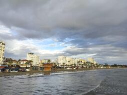 afa463d2-b929-4146-b082-a77c5fb93ab7