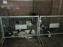 aghelades_katekhomena-large_thumbnail