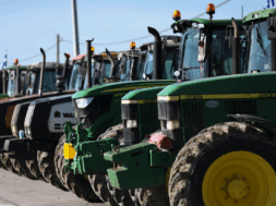 agrotes-apergia-ellada-43