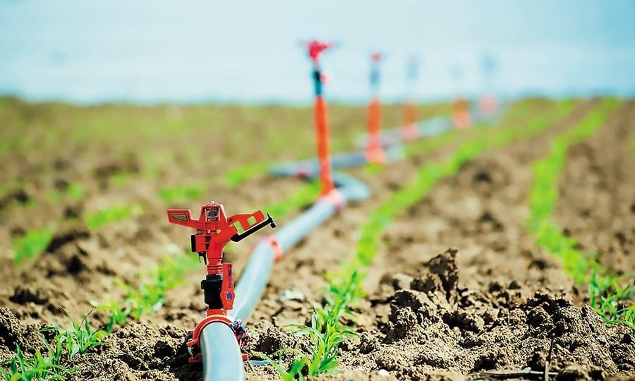 «Στεγνώνει» ο αγροτικός τομέας: Το Τμήμα Αναπτύξεως Υδάτων έκοψε το νερό στους γεωργούς