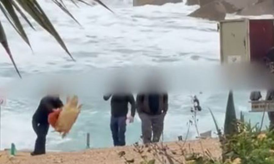 Η βία απέναντι στα ζώα είναι ξεκάθαρο σημάδι μιας αποτυχημένης κοινωνίας