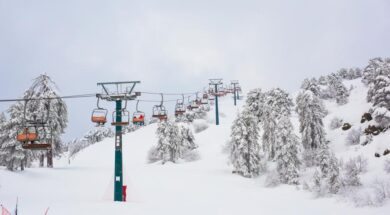 cache_1000x3000_Analog_medium_1108160_531709_2212021