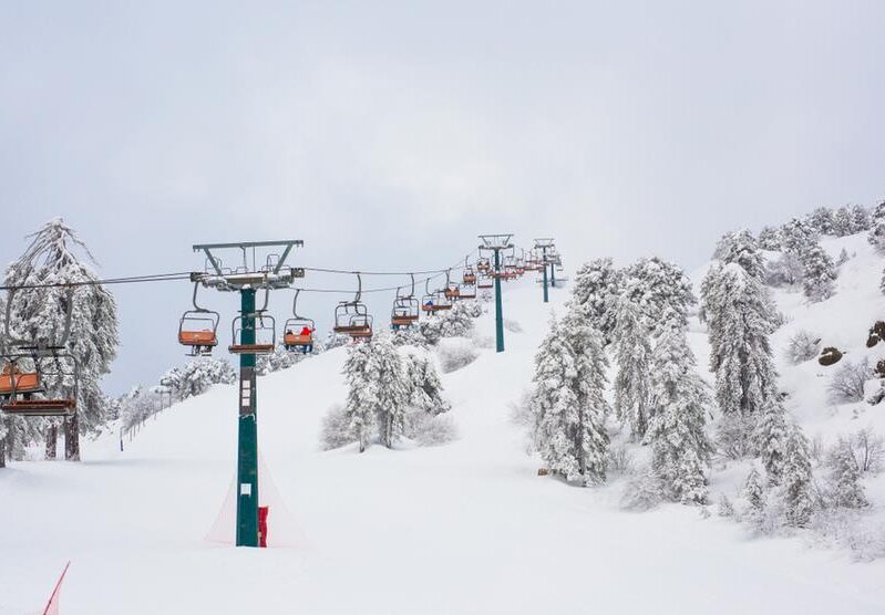 cache_1000x3000_Analog_medium_1108160_531709_2212021