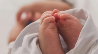 cache_1300x500_Analog_medium_1380358_79835_26_01_27_125118