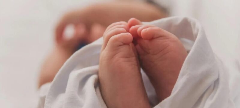 cache_1300x500_Analog_medium_1380358_79835_26_01_27_125118