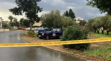 cache_500x500_9675173_1458721_18012026095908-thumb