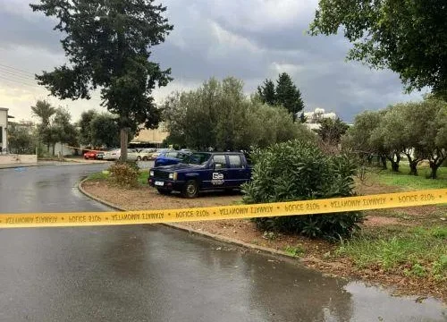 cache_500x500_9675173_1458721_18012026095908-thumb